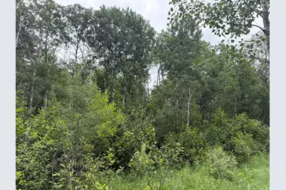Tbdx 350th Street, Menahga, MN 56464 - Photo 34