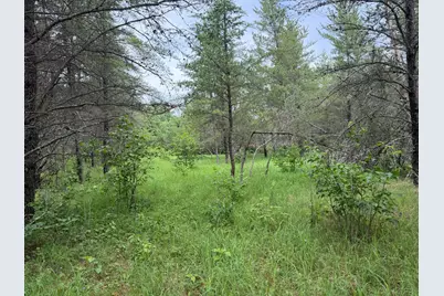 Tbdx 350th Street, Menahga, MN 56464 - Photo 38