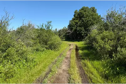 Tbd 215th Avenue, Long Prairie, MN 56347 - Photo 42