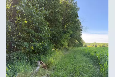 Tbd 215th Avenue, Long Prairie, MN 56347 - Photo 56