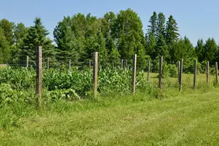 6438 Hwy 29, Van Buren Twp, MN 55736 - Photo 18