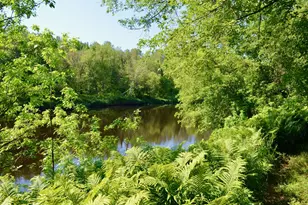 6438 Hwy 29, Van Buren Twp, MN 55736 - Photo 34