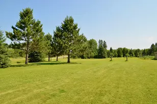 6438 Hwy 29, Van Buren Twp, MN 55736 - Photo 22