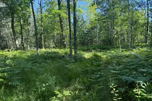 31032 280th St, Aitkin, MN 56431 - Photo 26