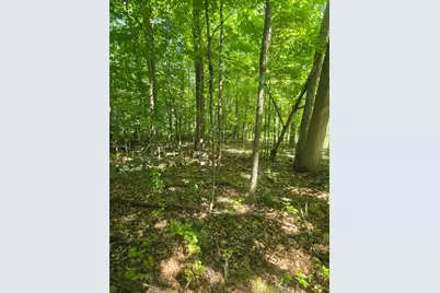 18Xx Cozy Lodge Drive NE, Longville, MN 56655 - Photo 4