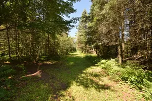14622 S Swedish Hwy, Danbury, WI 54830 - Photo 70