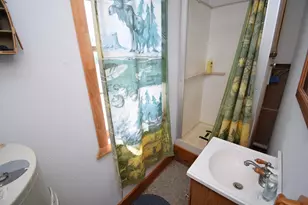 14622 S Swedish Hwy, Danbury, WI 54830 - Photo 60