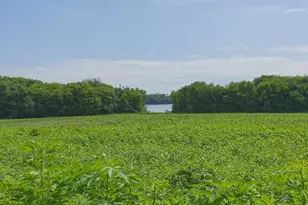 8412 Ingram Ave SW, Howard Lake, MN 55349 - Photo 62