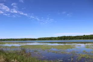 3078 Woodcock Trail NE, Remer, MN 56672 - Photo 6