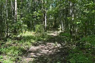 23701 60th Ave, Milaca, MN 56353 - Photo 6