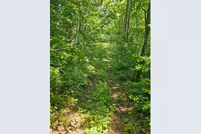 49 Acres 16th Avenue, Cameron, WI 54822 - Photo 6