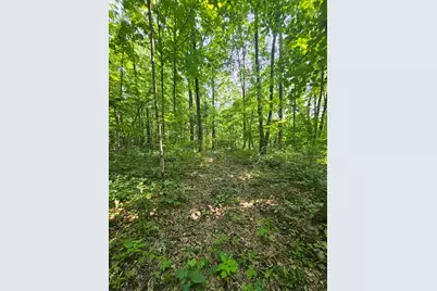 49 Acres 16th Avenue, Cameron, WI 54822 - Photo 8