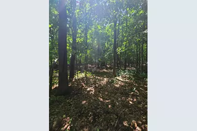 49 Acres 16th Avenue, Cameron, WI 54822 - Photo 22