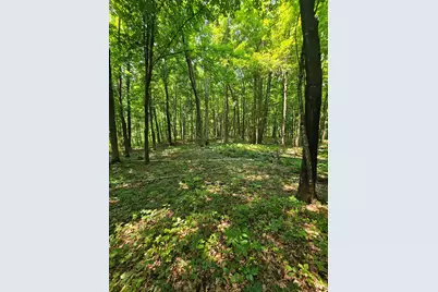49 Acres 16th Avenue, Cameron, WI 54822 - Photo 10