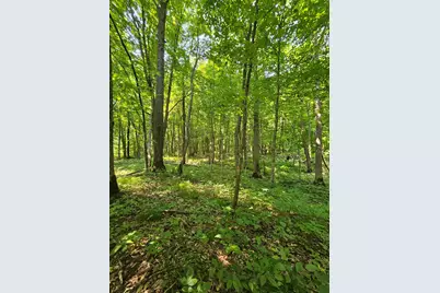 49 Acres 16th Avenue, Cameron, WI 54822 - Photo 12