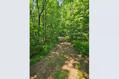 49 Acres 16th Avenue, Cameron, WI 54822 - Photo 4