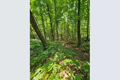 49 Acres 16th Avenue, Cameron, WI 54822 - Photo 18