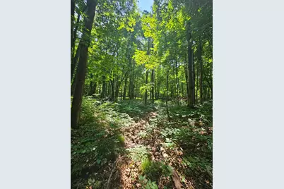 49 Acres 16th Avenue, Cameron, WI 54822 - Photo 20