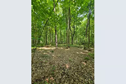 49 Acres 16th Avenue, Cameron, WI 54822 - Photo 16