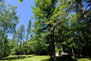 42683 County 3, Solway, MN 56678 - Photo 26