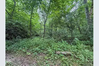Tbd 590th Street, Kellogg, MN 55964 - Photo 62