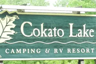2945 County Road 4 SW, Cokato, MN 55321 - Photo 8