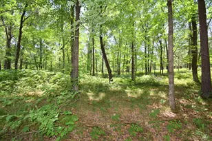 29774 Little Bear Dr, Danbury, WI 54830 - Photo 62