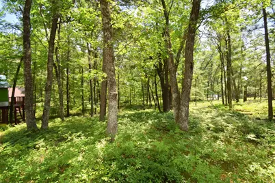29774 Little Bear Drive, Danbury, WI 54830 - Photo 64