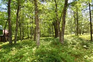 29774 Little Bear Dr, Danbury, WI 54830 - Photo 64