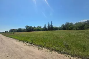 Tbd Pleasant Ave SE 600 Block, Twin Valley, MN 56584 - Photo 1