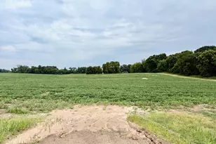 Tbd (L9B2) County Road 5 NW, Isanti, MN 55040 - Photo 1