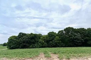 Tbd (L10B2) County Road 5 NW, Isanti, MN 55040 - Photo 1