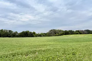 Tbd (L12B2) County Road 5 NW, Isanti, MN 55040 - Photo 1