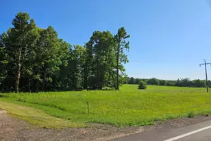 21392 340th Street, Bagley, MN 56621 - Photo 8