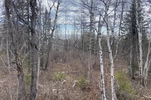 000 Aspen Ln, Silver Bay, MN 55614 - Photo 1