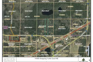 14085 Snapping Turtle Ct NE, Bemidji, MN 56601 - Photo 62