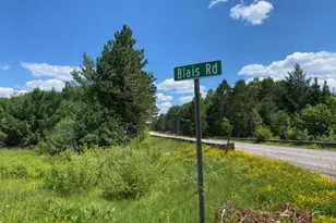 2448 E Cabin Cir, Makinen, MN 55763 - Photo 2