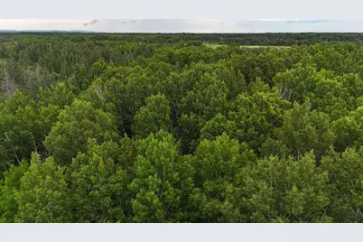 3Xxx Quaal Road, Forbes, MN 55738 - Photo 24