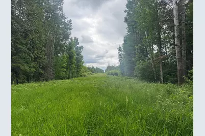 3Xxx Quaal Road, Forbes, MN 55738 - Photo 12