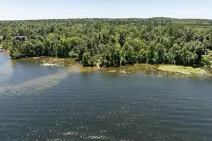 Tbd County Rd 16, Pequot Lakes, MN 56472 - Photo 1