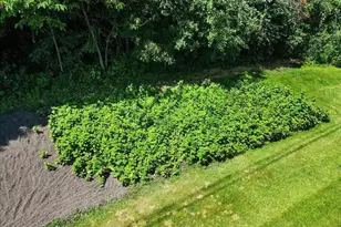 15870 Fenway Ave N, Hugo, MN 55038 - Photo 16