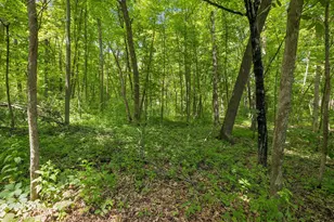18160 St Croix Trail N, Marine on Saint Croix, MN 55047 - Photo 34