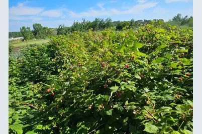 50768 279th Avenue, Bemidji, MN 56601 - Photo 42