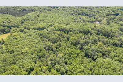 2Xxx Bent Trout Lake Rd, Barnum, MN 55707 - Photo 6