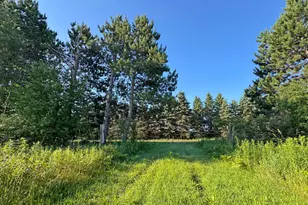 1298 210th Ave, Ogilvie, MN 56358 - Photo 48