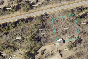99 Acres Lot 12 Block 3 Cty Rd 11, Crosby, MN 56441 - Photo 1