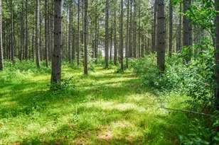 28391 County 109, Menahga, MN 56464 - Photo 82