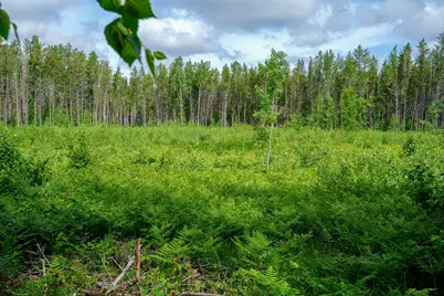 28391 County 109, Menahga, MN 56464 - Photo 64