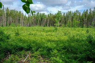 28391 County 109, Menahga, MN 56464 - Photo 64