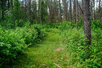 28391 County 109, Menahga, MN 56464 - Photo 68
